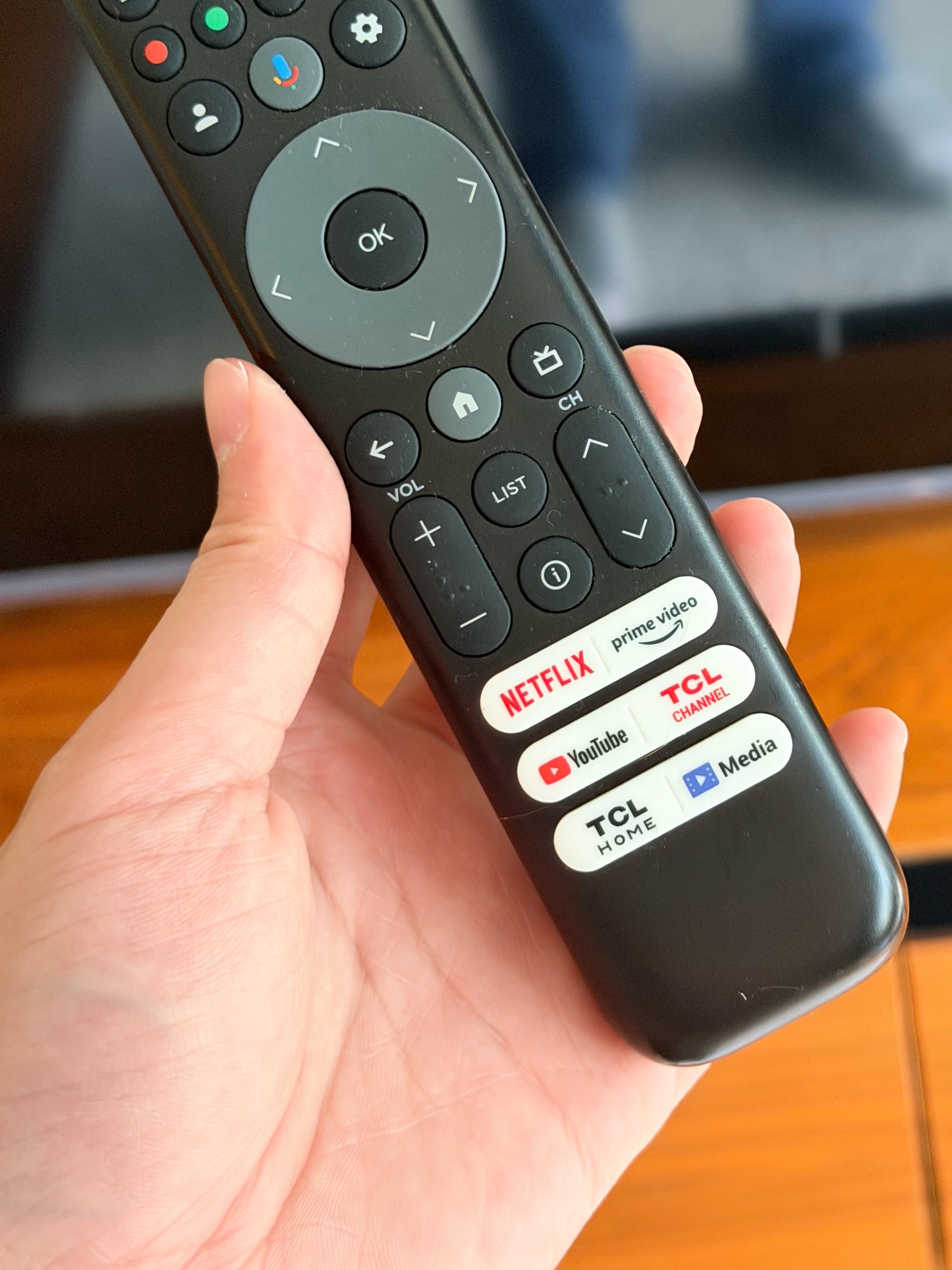 房东的电视居然是雷鸟的但，是出口特供版