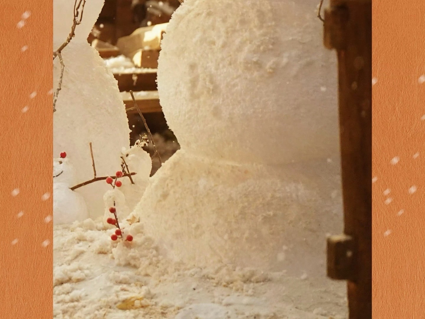 张凌赫田曦薇《逐玉》情人节live图～ 