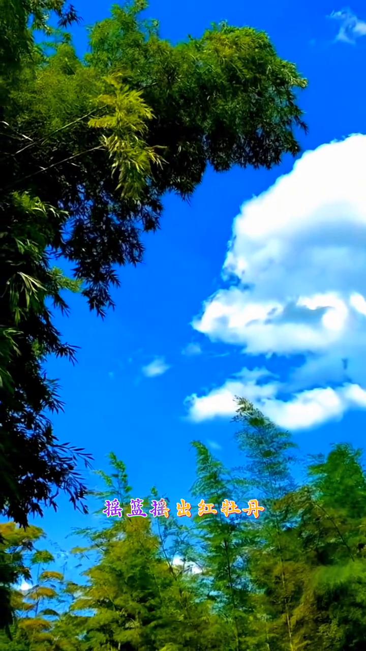 《白云朵朵》。
蓝蓝的海，蓝蓝的天，白云朵朵像摇蓝，摇篮摇出红牡丹，那是晚霞的笑