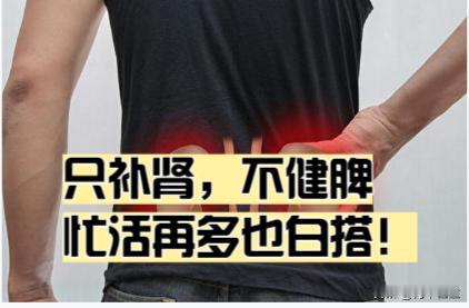 补肾不健脾，一场空欢喜！

在中医来讲肾为先天之本，脾为后天之本，我们身体所需要