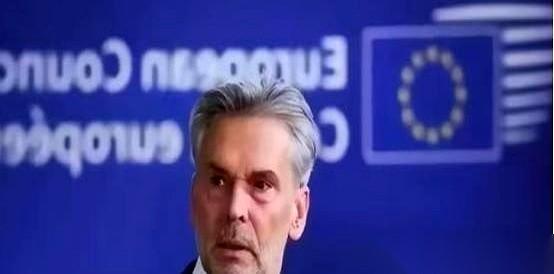 荷兰那句“硬抢稀土”的狠话，听着是真吓人。
口气大得，让人以为是几百年前的海盗船