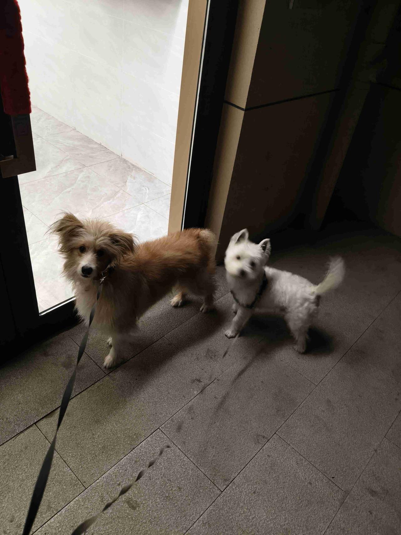 我的今日状态：😁轻松愉快
我这里的天气：☀️晴天