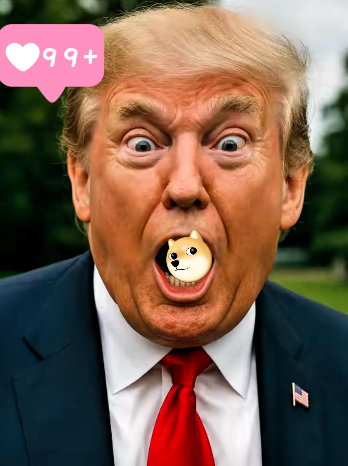 特朗普将要率领美国最大的代表团要去瑞士达沃斯了，时间定在1月19到23号。

以