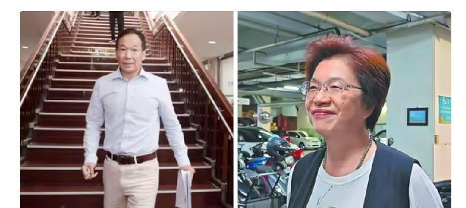 国民党主席郑丽文这次真动手了！丁瑀被开除党籍、萧敬严停权三年，党内外都看出来这就