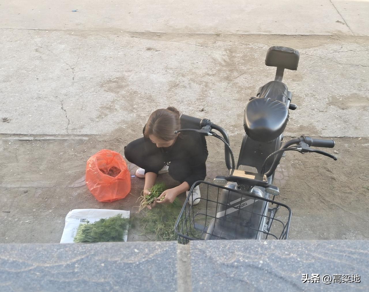 失恋那天，我走进街角一家小面馆，点了一碗面。老板是个沉默的中年男人，端面上来时多