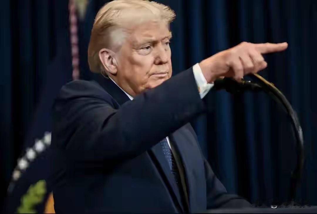 “现在已经很清楚，美国伙伴不再是过去的那个盟友了。”这句话不是比利时外交官在公开
