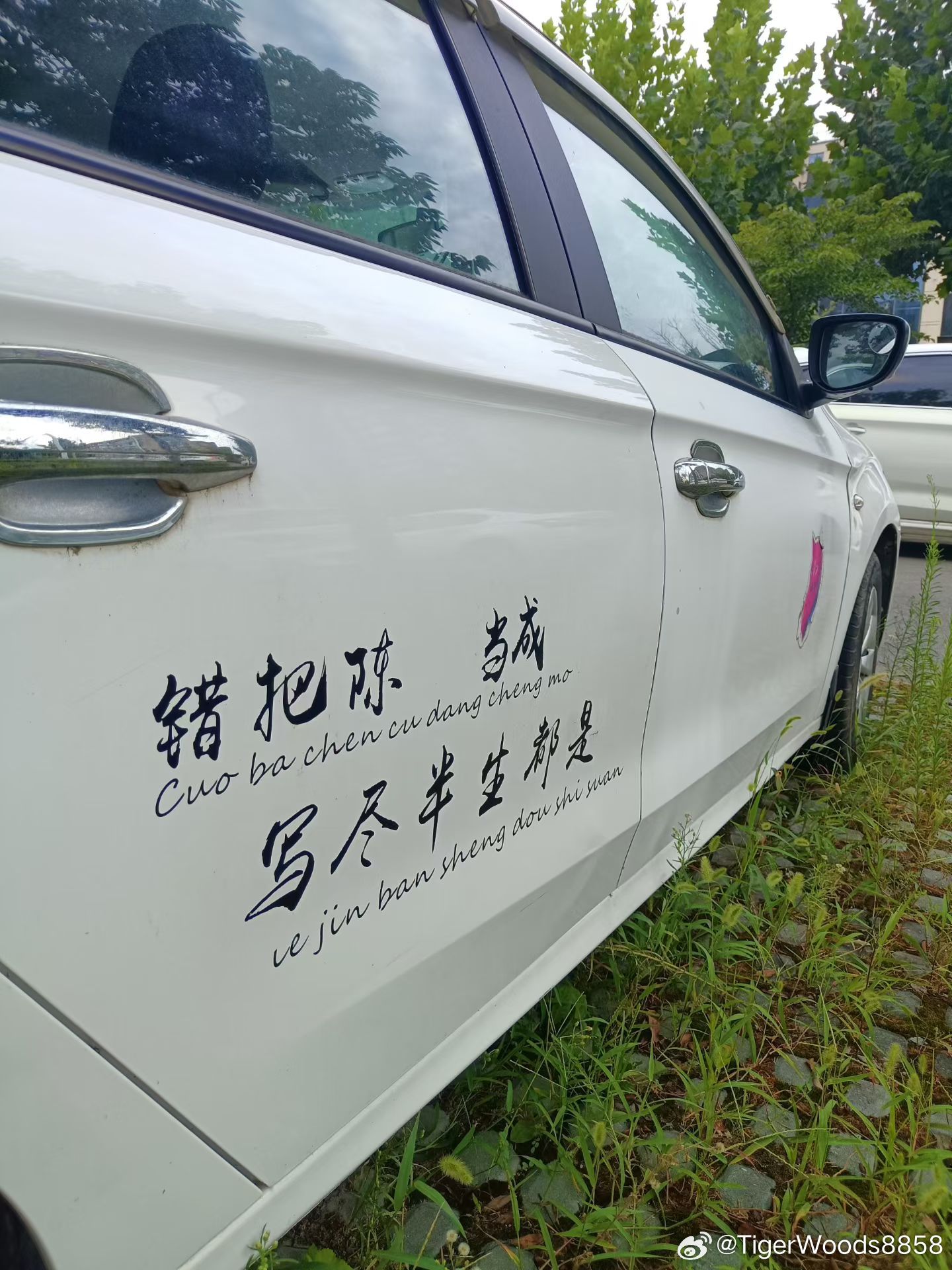 错把陈醋当成墨写尽半生都是酸 ​​​