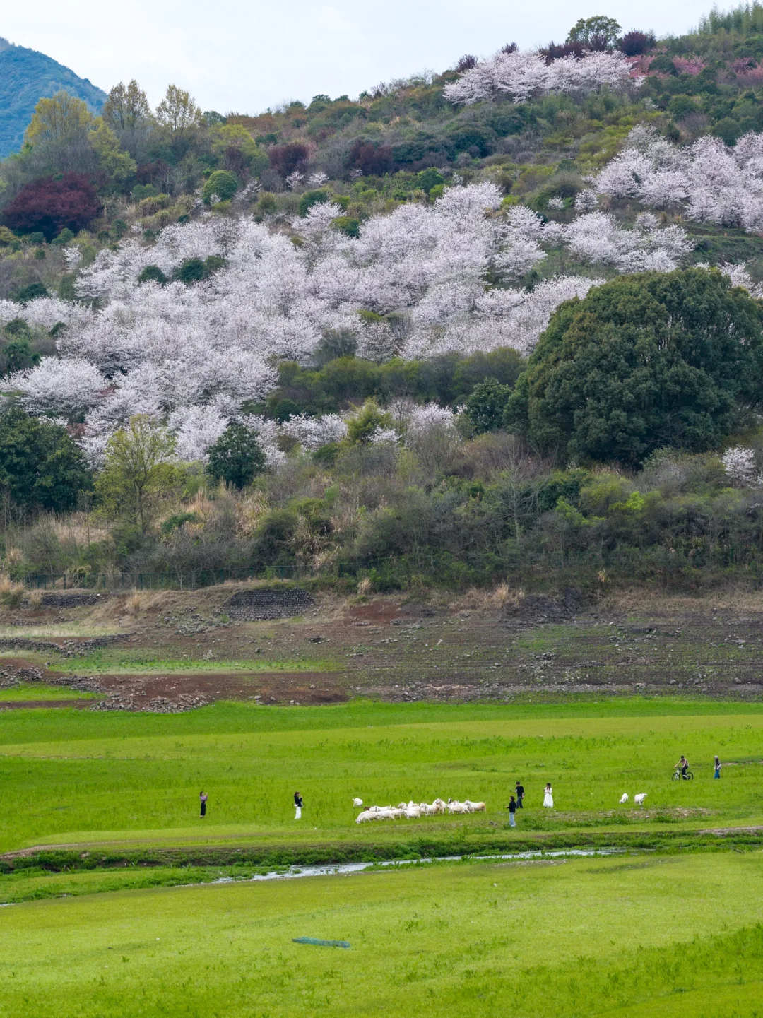 四明山自驾封神‼️发夹弯+亭下湖+栖霞坑攻略