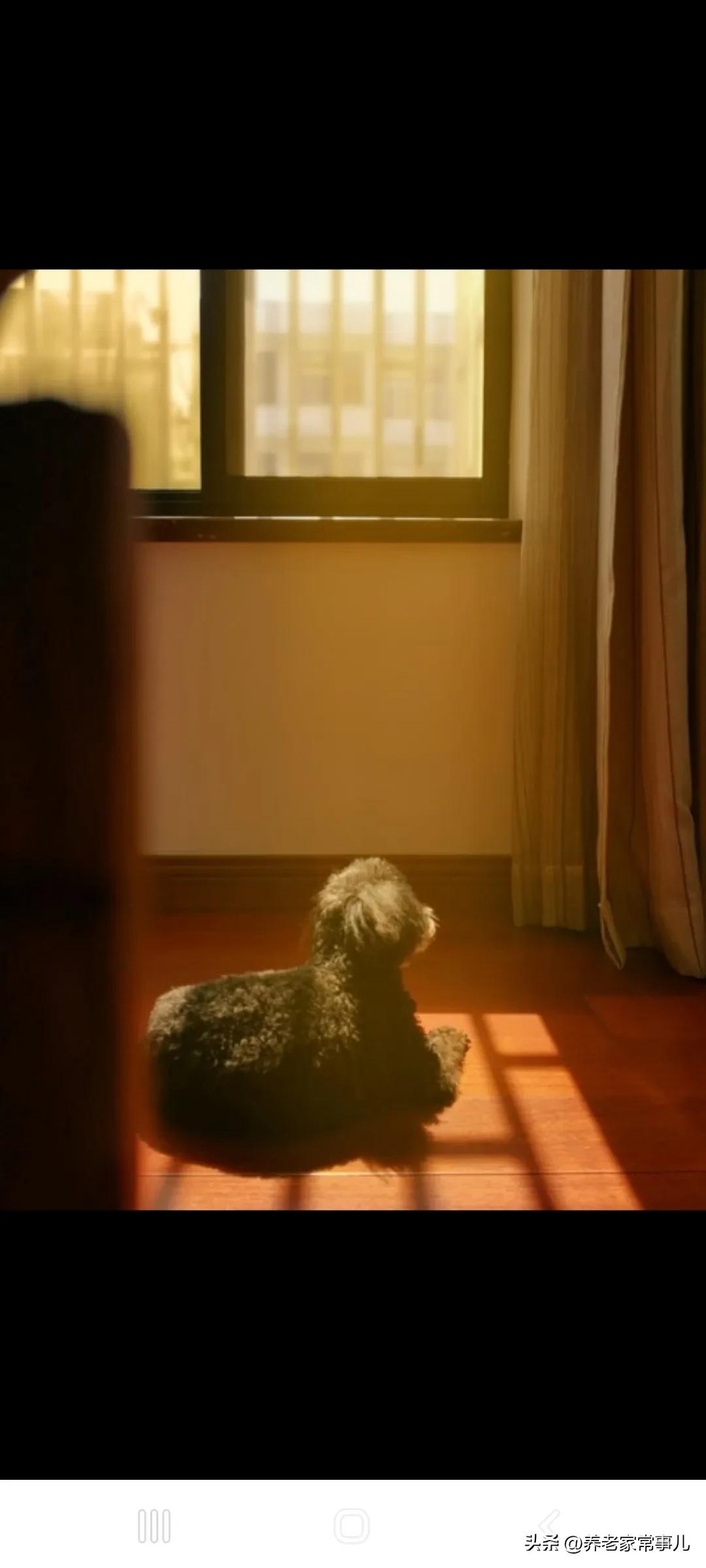 我抱着你呢，你现在一定特别特别累、特别委屈，才会说出这么让人心疼的话。
我一句都