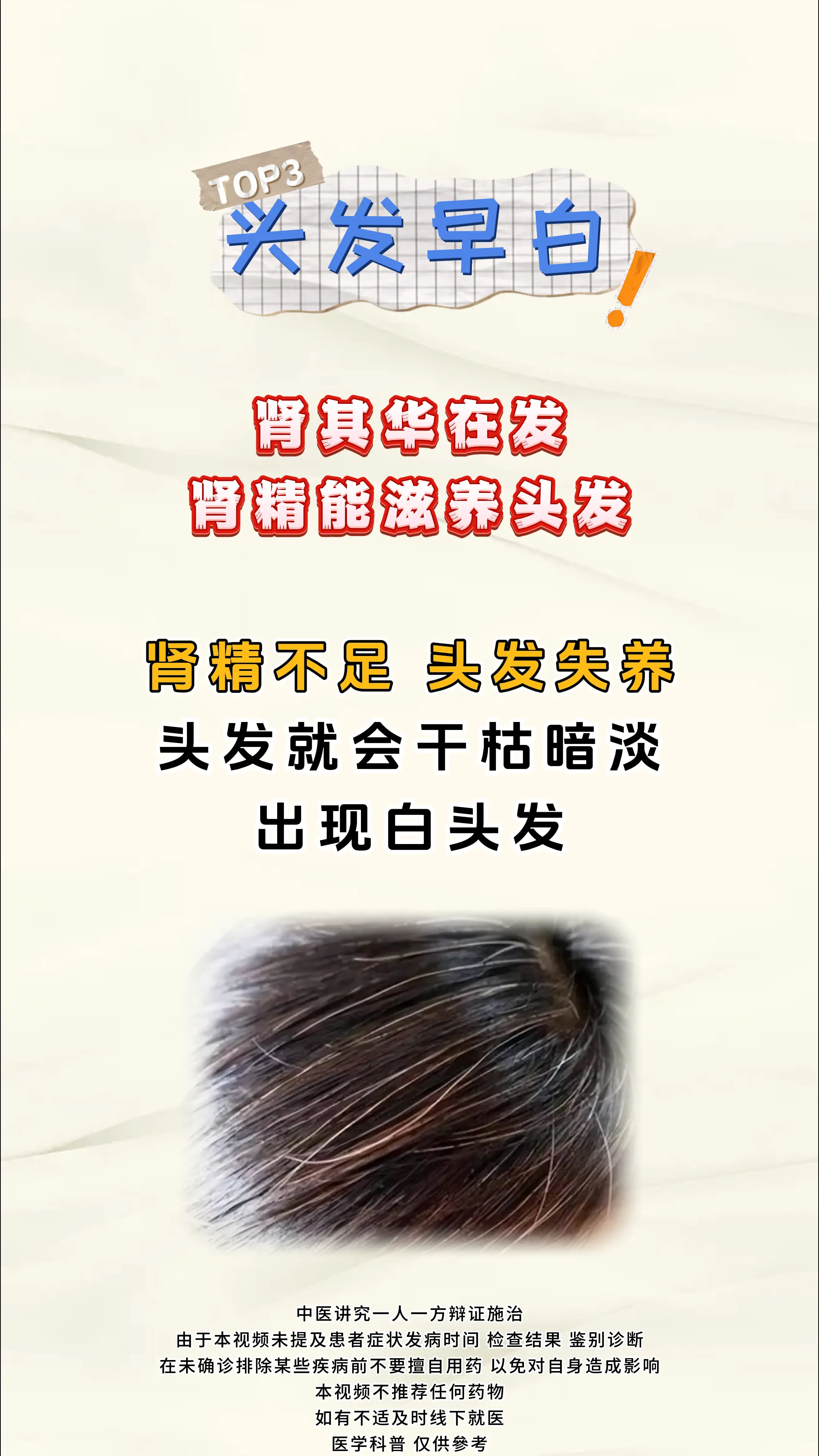 健康科普 肾 中医科普 涨知识