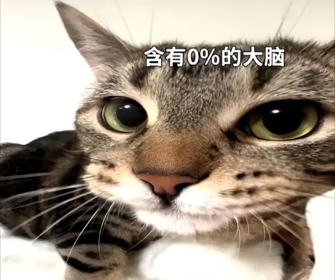 想放松一下时，你会选择哪些游戏？魔王夜谈