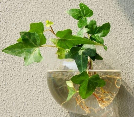 经常遇上口舌是非的朋友，在风水上，可检查一下家中 的收藏品是否杂乱无章或房门太多