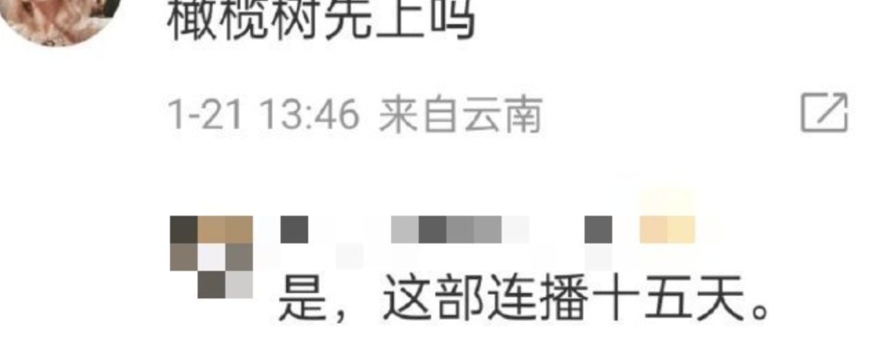 陈哲远梁洁《白色橄榄树》春节档连播15天[允悲] 