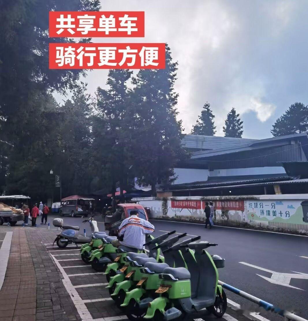黄水地势平坦，骑行共享单车也是不错的选择！重庆黄水旅游 石柱黄水镇风景