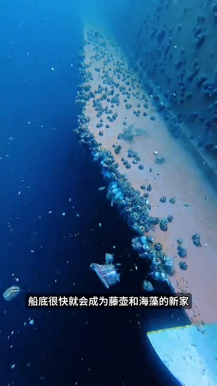 游艇贵在养护。
为什么很多人明明有能力买游艇，最后却不敢轻易入手？真正劝退他们的