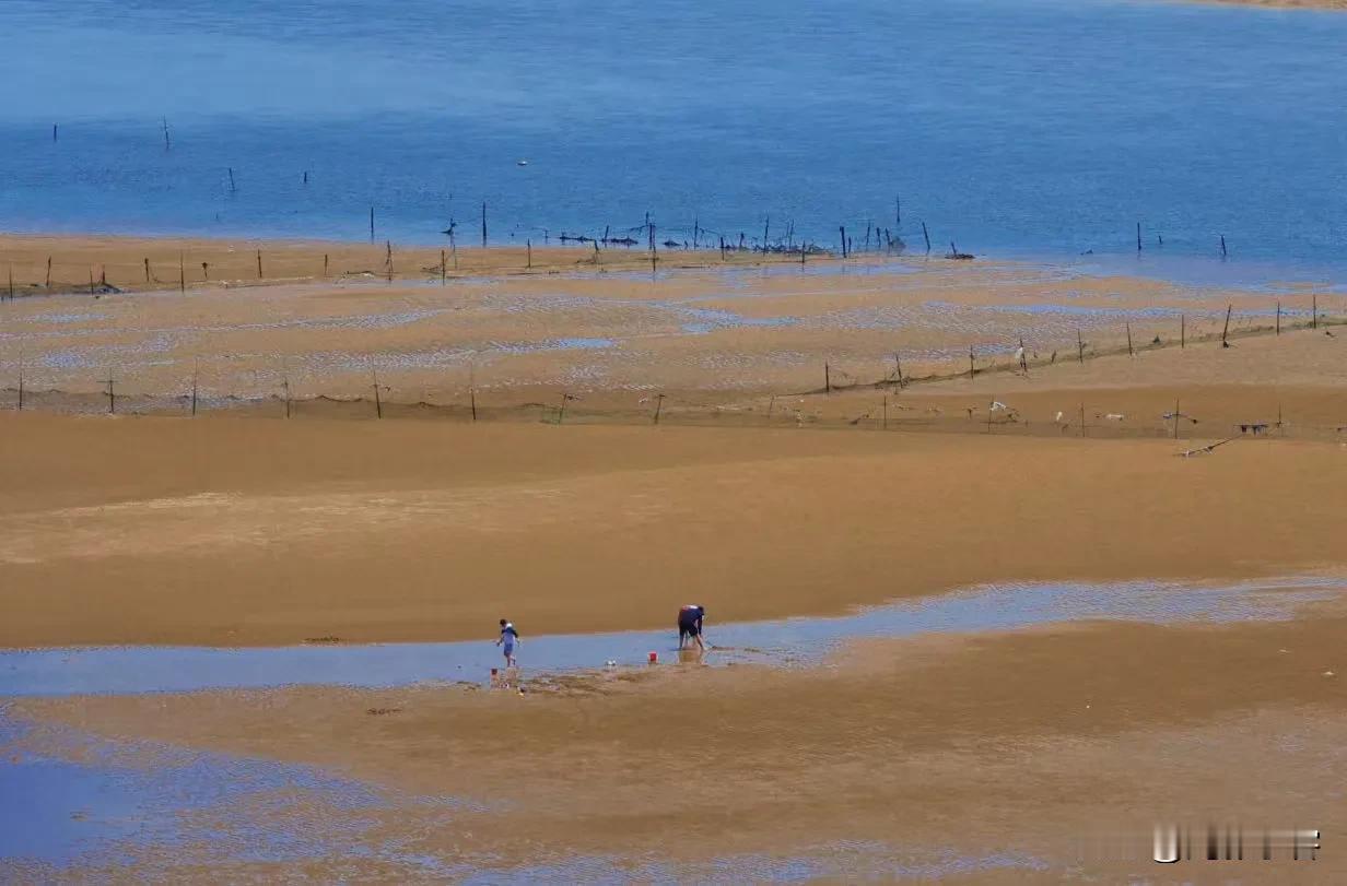 去海阳碧桂园小住，晚上看着窗外都是大海，没有想到早晨起来大潮褪去变成了滩涂。蔚蓝