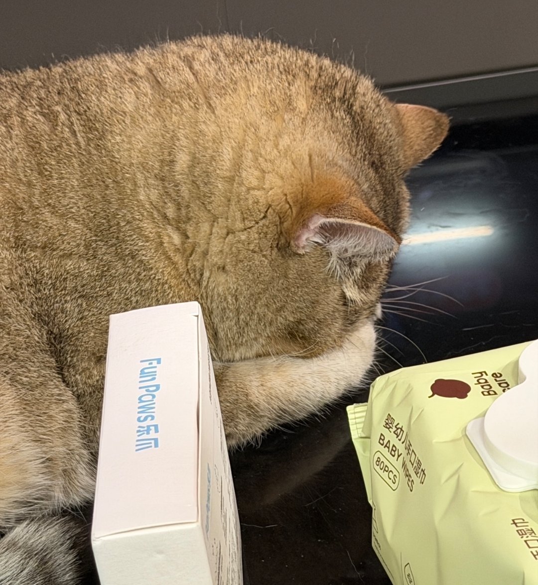 嘻嘻三猫一 跟不认可的人没什么好说的了😌 