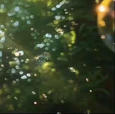 每日一善阳光信用 善行如星光, 虽小却能点亮希望！ 