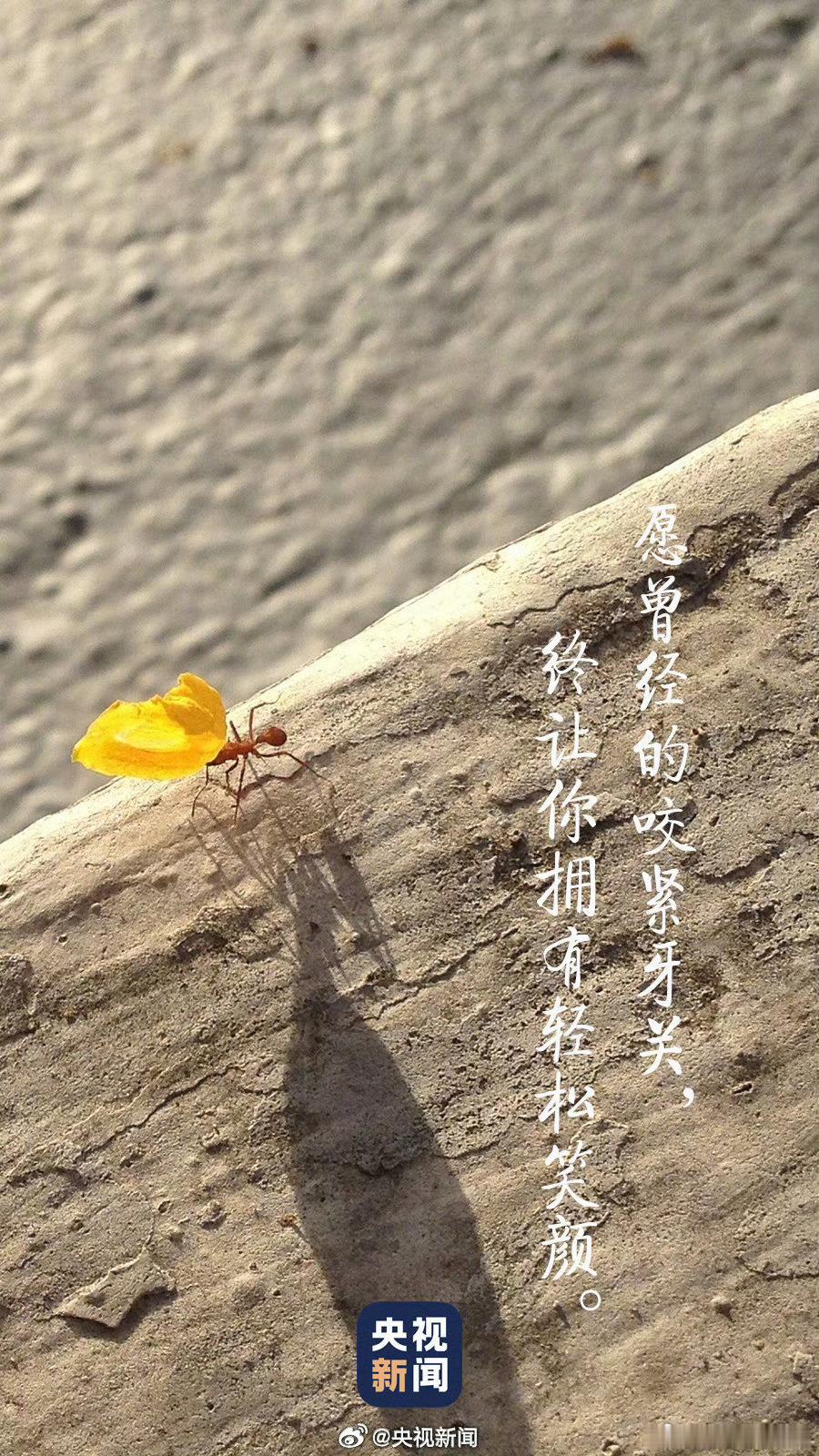 考完要不要对答案【高考第1天结束 祝福考生！】高考数学考试结束，调整状态，养精蓄
