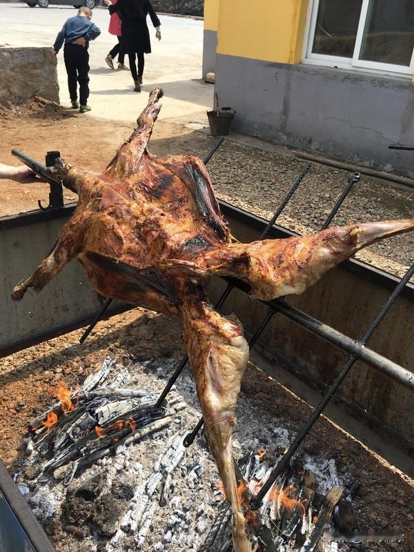 申请成为你的头条思想搭子 想成为你的头条思想搭子，一起在这信息海洋里遨游！就像文