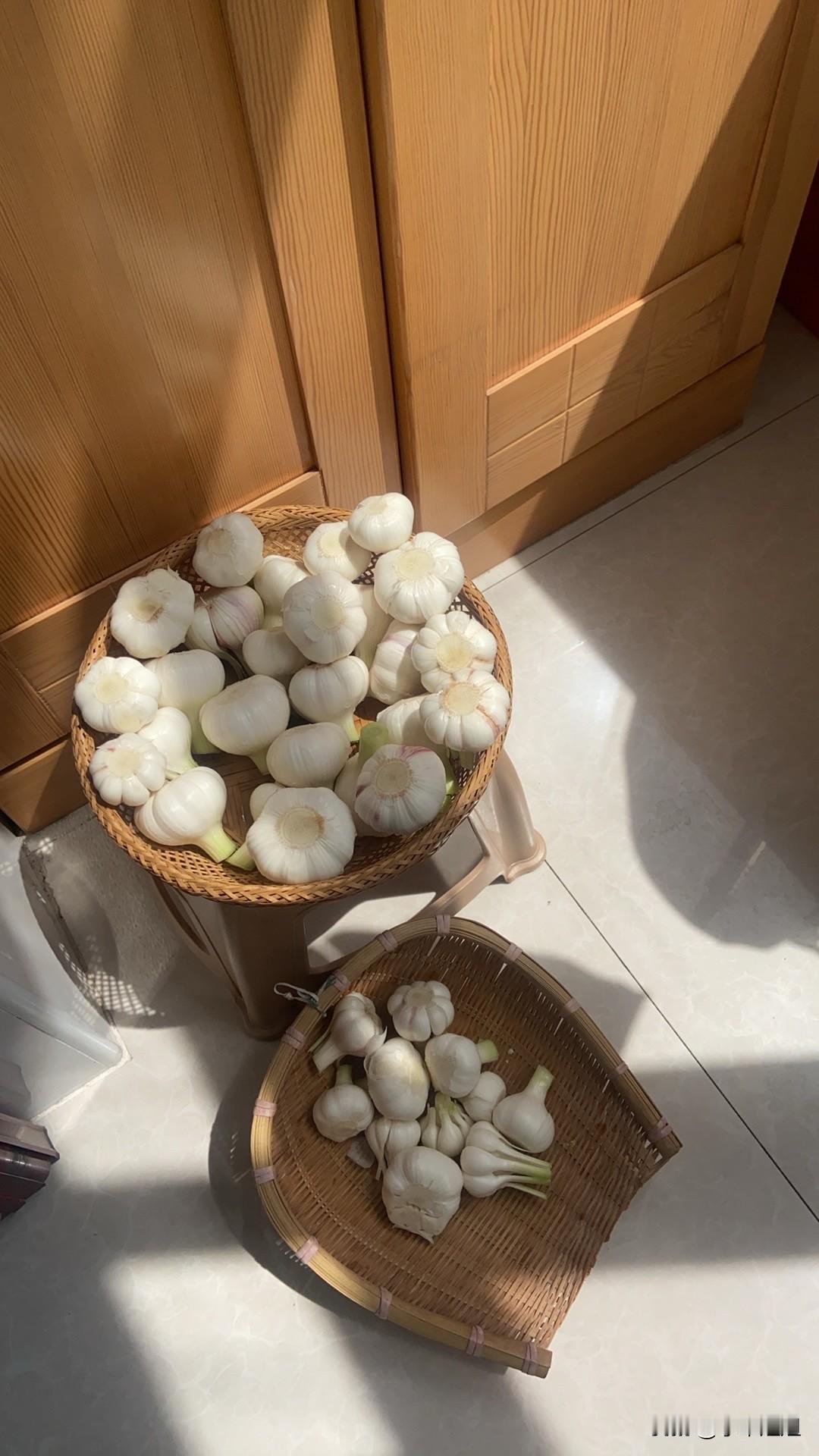 昨天，我在早市花了15元钱买了两把新鲜的大蒜！
我准备腌糖醋蒜了！
看看今年的大