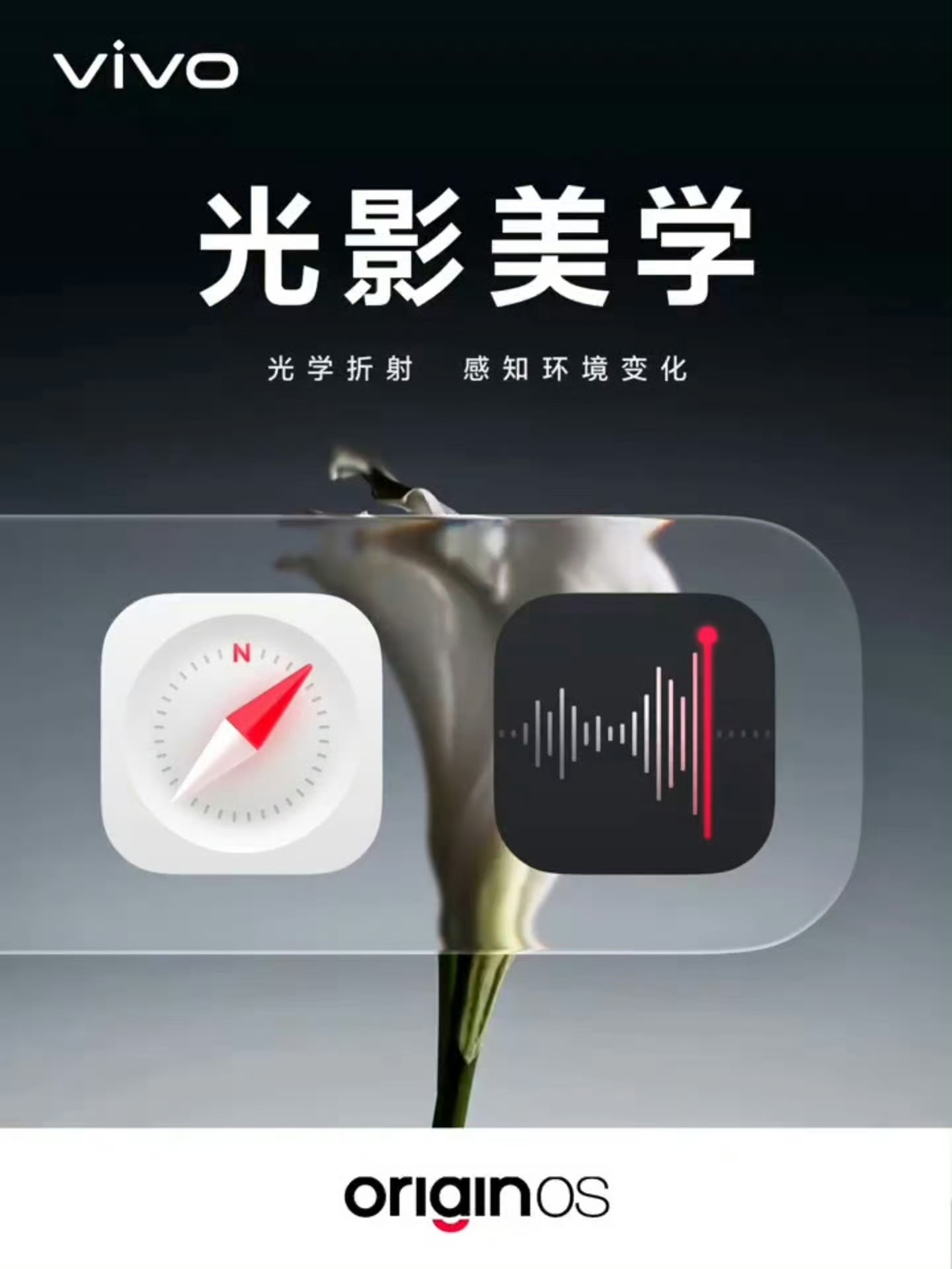 vivo全新的光影美学看着如何？👀 