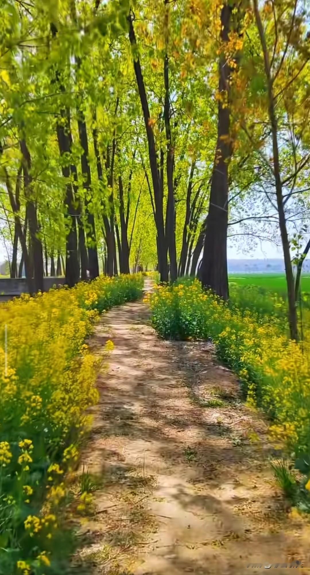 记忆是甜的。
碰一下却会疼。

旧照片泛黄了。
笑声还卡在喉咙。

怎么办呢？