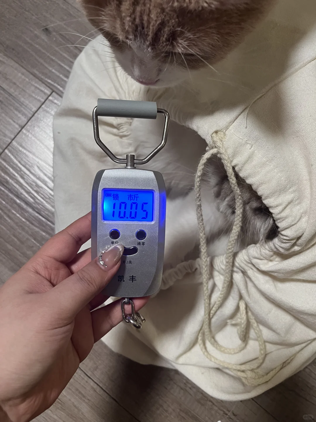 记录一下体重