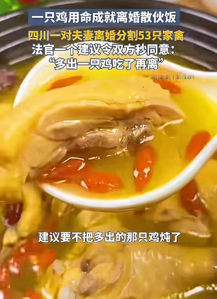 见过离婚挣家财、争孩子抚养权的，

但你见过离婚争鸡鸭鹅的吗？

近日，四川广安