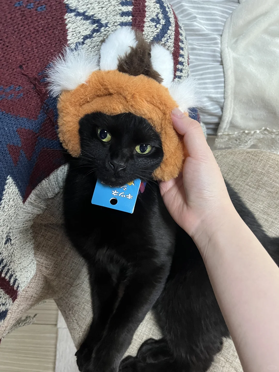 狐狸🦊！www