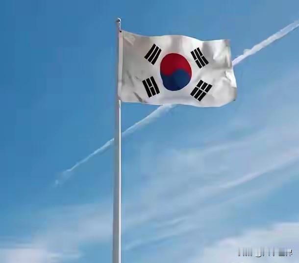 韩国也警惕起来了！
​韩国官方媒体突然曝出重磅消息，日本自卫队正在疯狂推进战备。