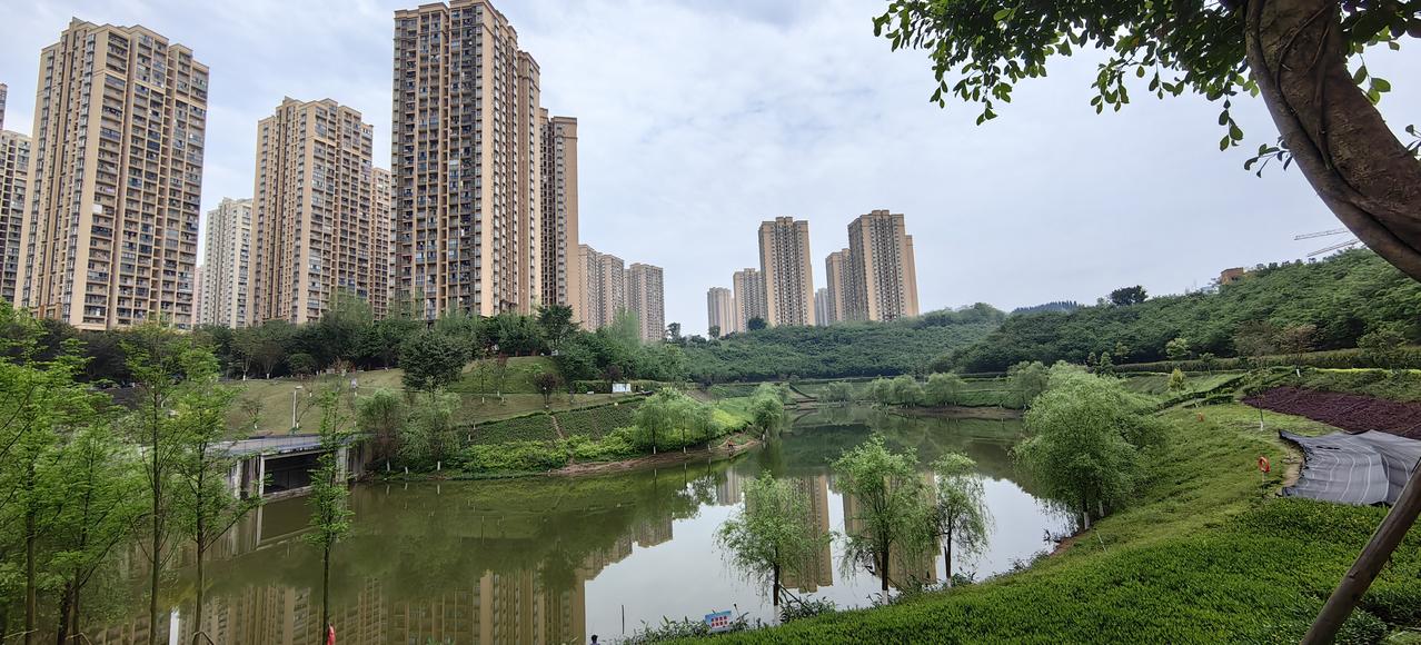 我渡区伏牛溪公园，河道湿地生态治理后改造的，环境还算不错[思考]特别是——有好大