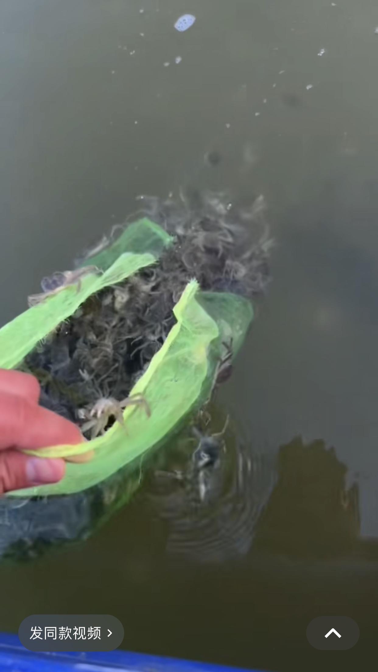 今天休息，我去天津滨海新区的郊区游玩，这一趟真是太值啦！到那儿时，恰好碰上养殖户