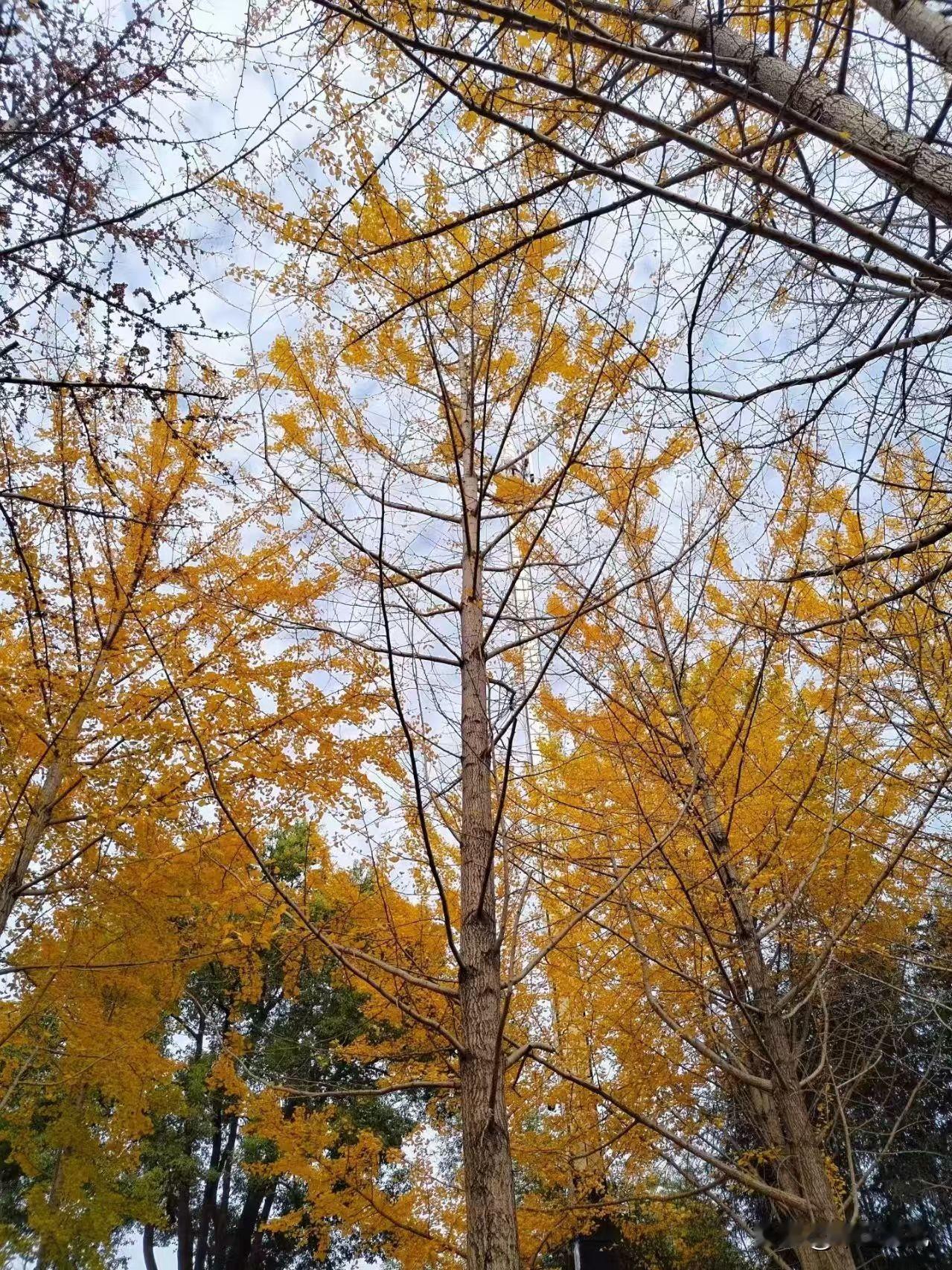 冬日生活打卡季