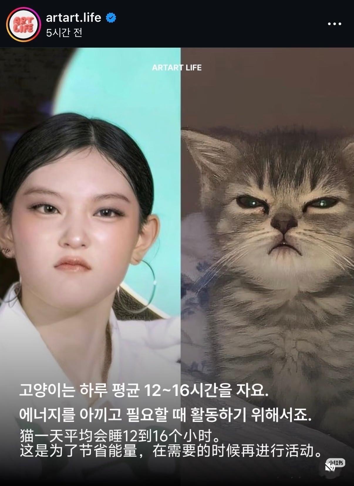 姜海粼就是真毛米来的吧[捂嘴哭][捂嘴哭][捂嘴哭] ​​​