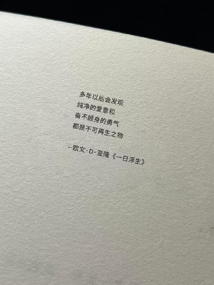 纯净的爱意和奋不顾身的勇气，都不可再生。
