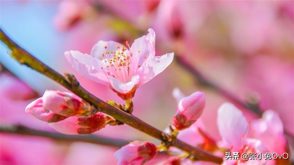 暖字吧！选暖，是因为幸福大多不是轰轰烈烈的大事，而是心里被温柔裹住的感觉：有人惦