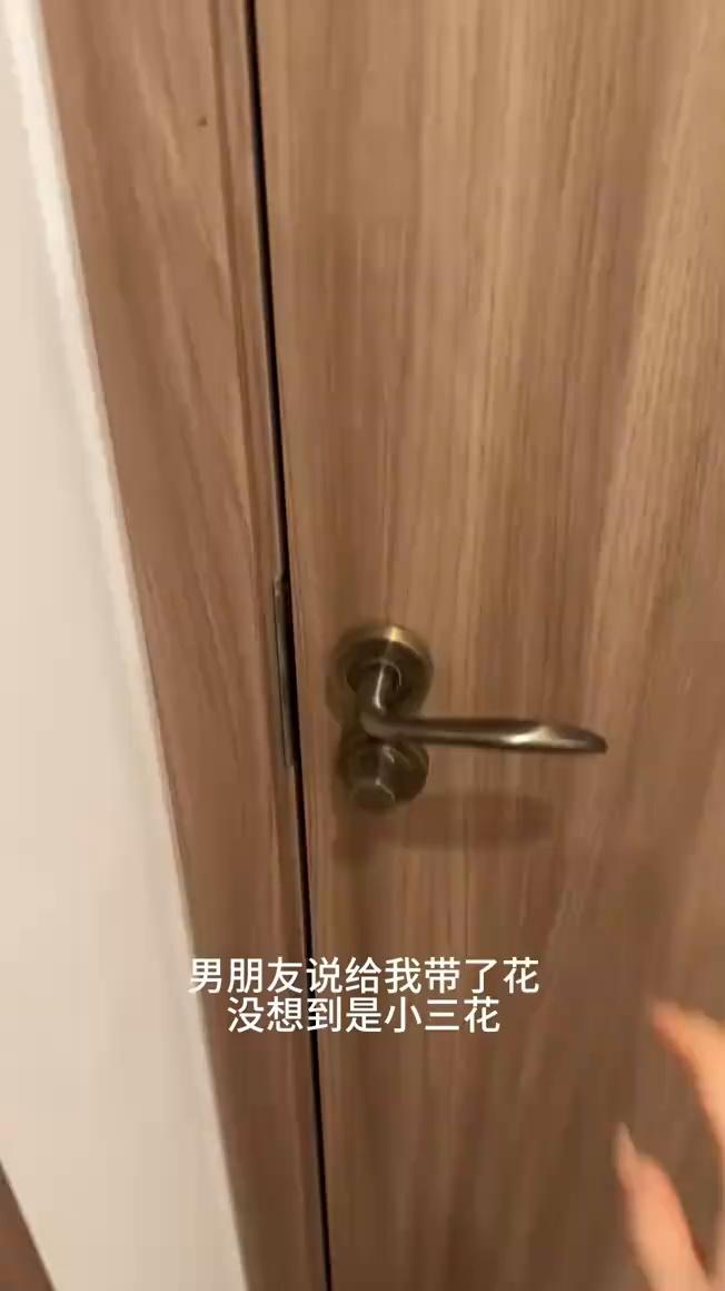 男朋友说给我带了花，没想到是小三花。
八岁小婉。