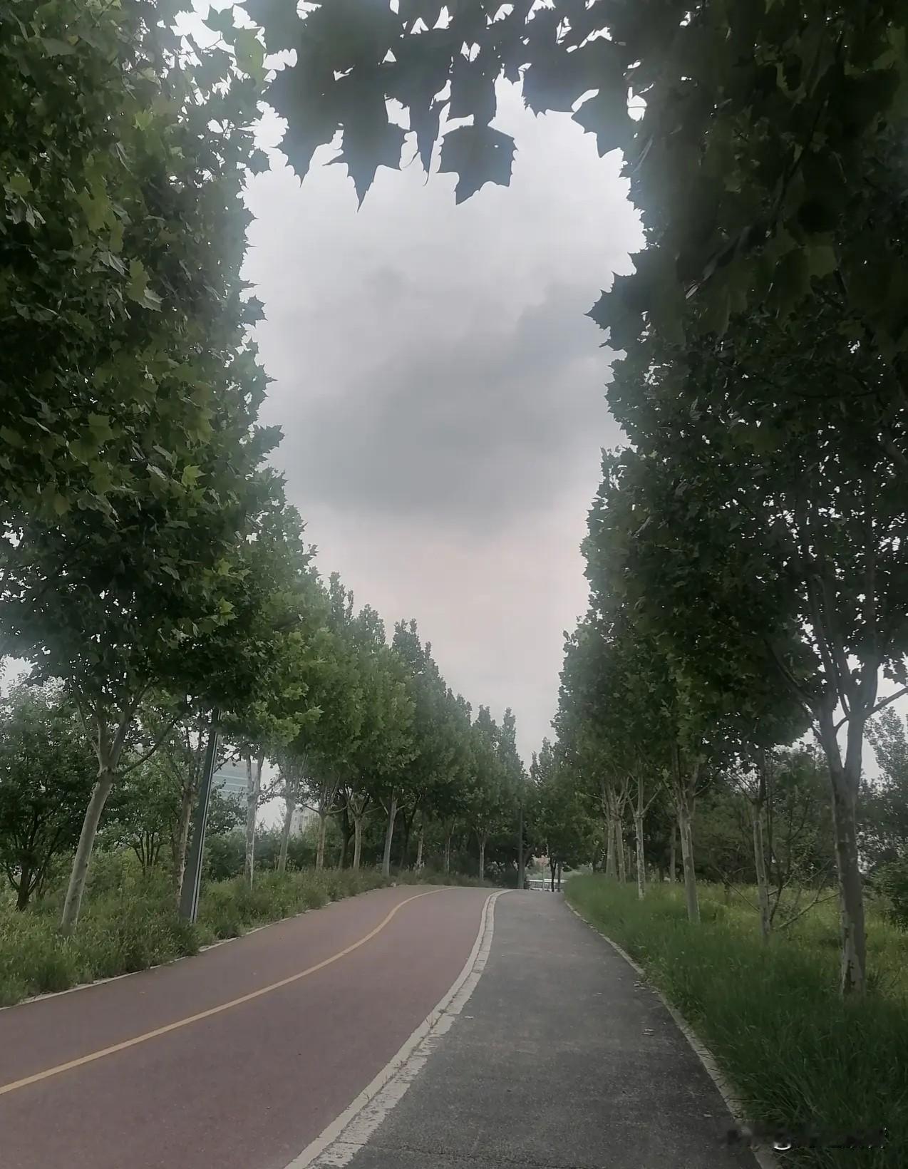 夏日清晨

          ——海之般若

我喜欢树与天空围起的圆
高高悬在