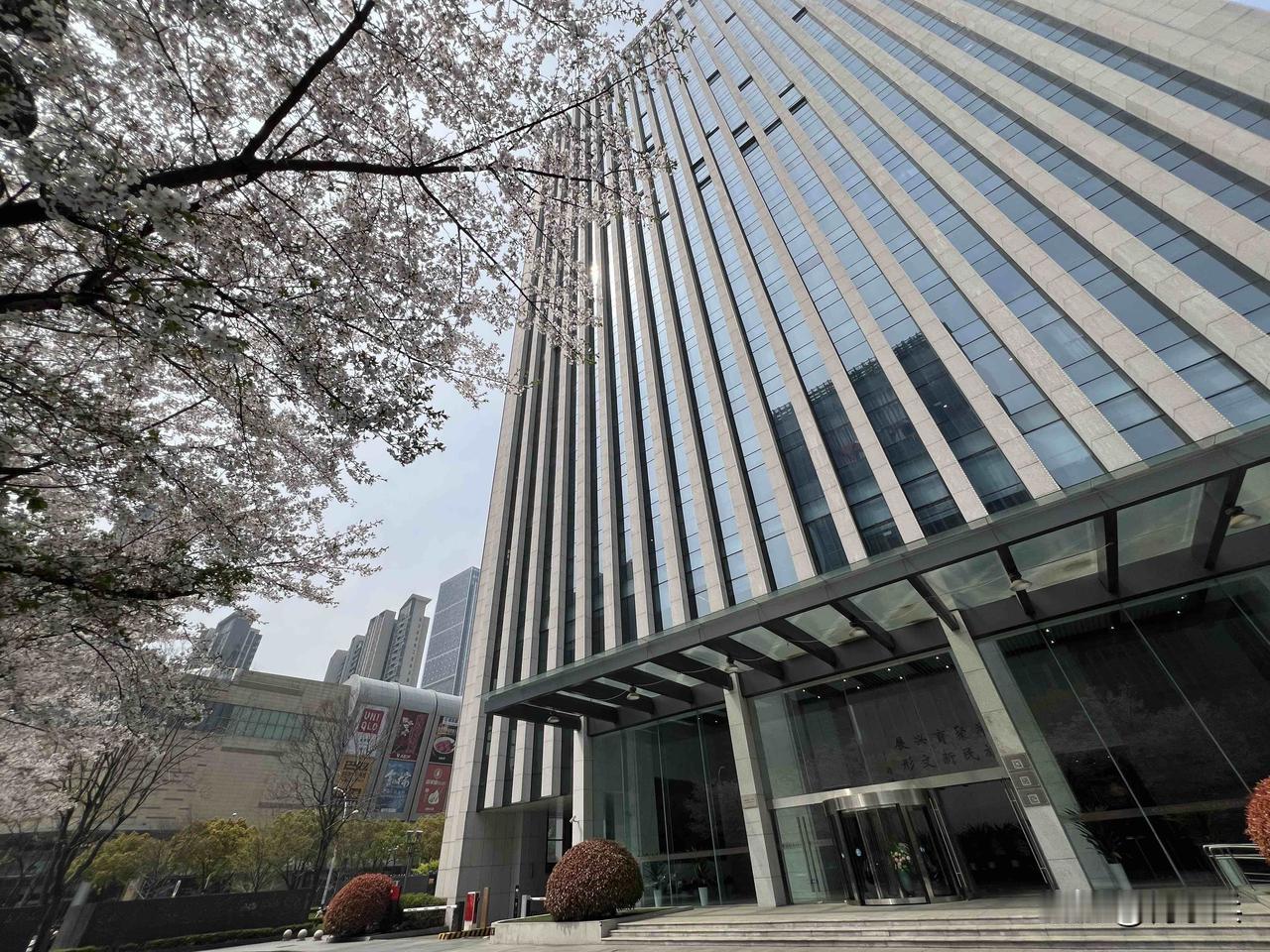 樱落报业大厦，春满锡城，每片花瓣都是温柔诗行。