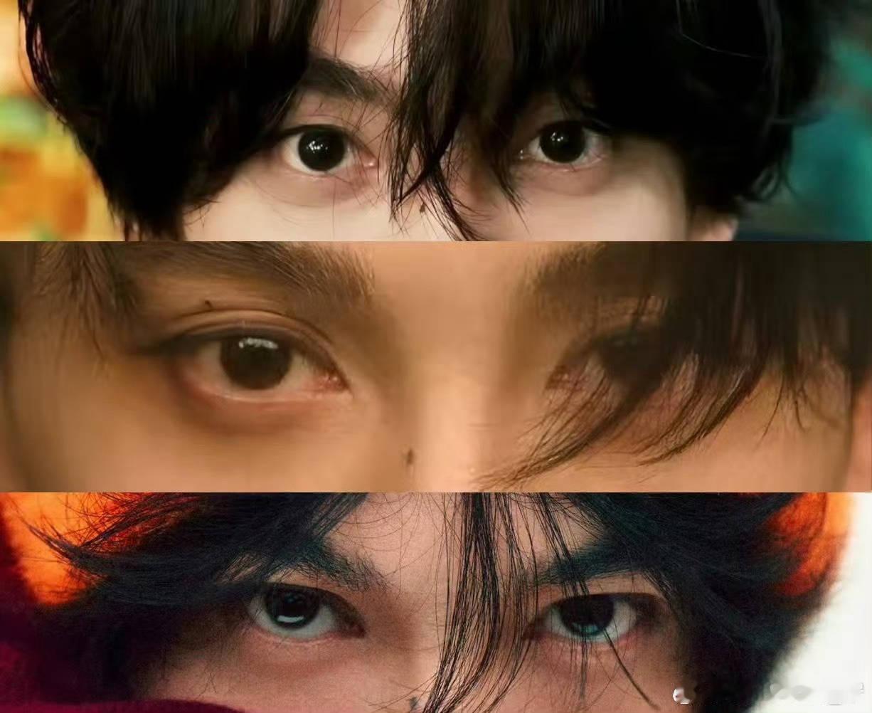 狗狗被雨淋湿的狗狗狼。 