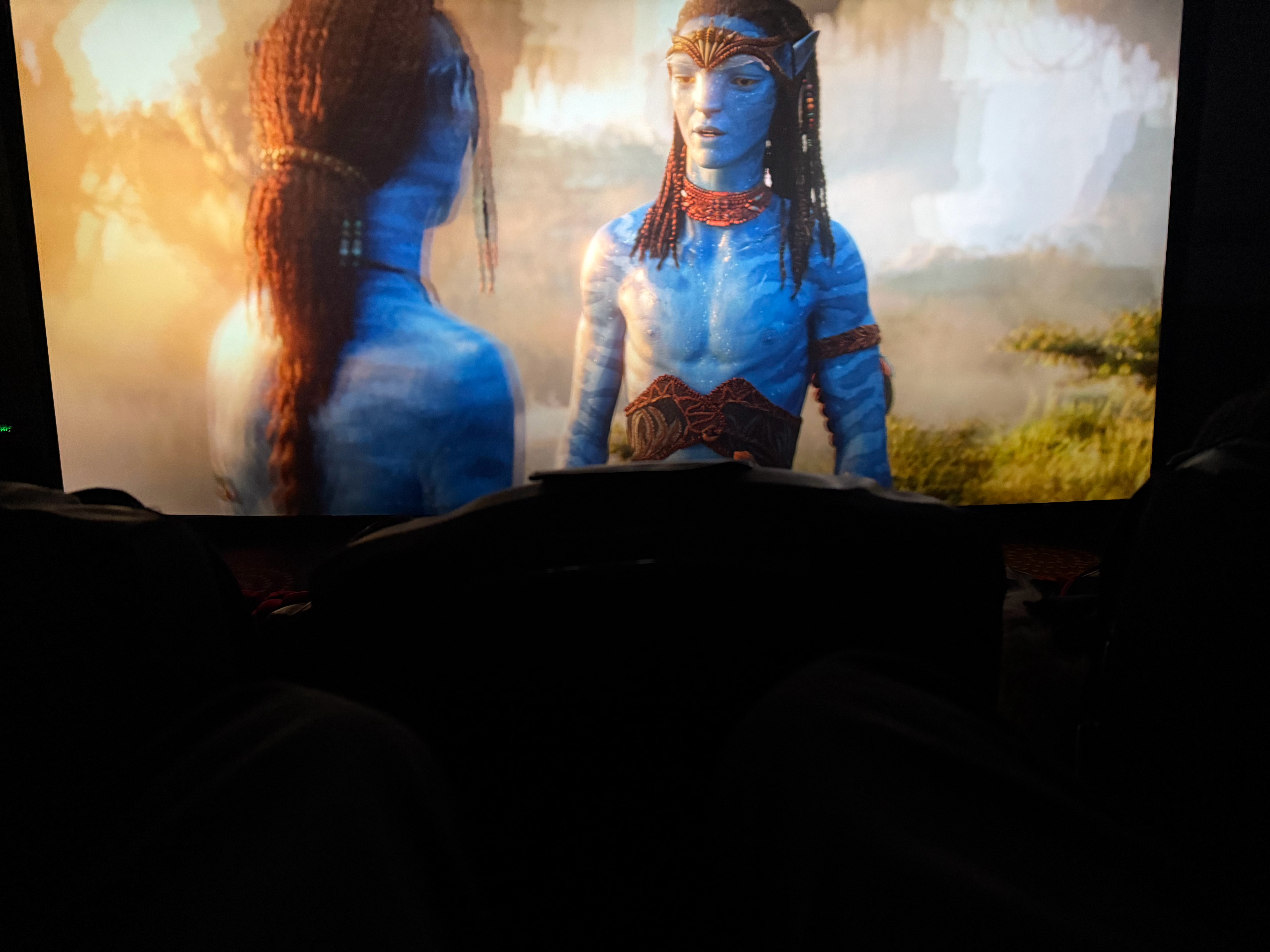 来看阿凡达了，万达的IMAX 3D，好像是24帧，看着太难受了