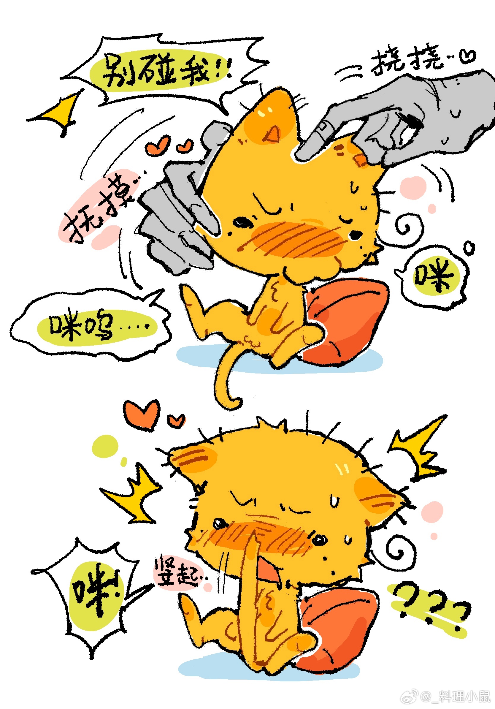 对待小咪，手法要讲究
