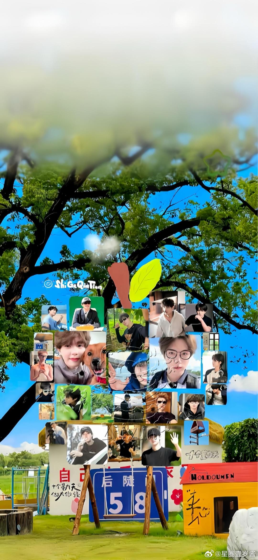 十个勤天一步一步种出白玉兰 没有花哨人设，没有剧本演绎，只是认真种地、踏实成长，