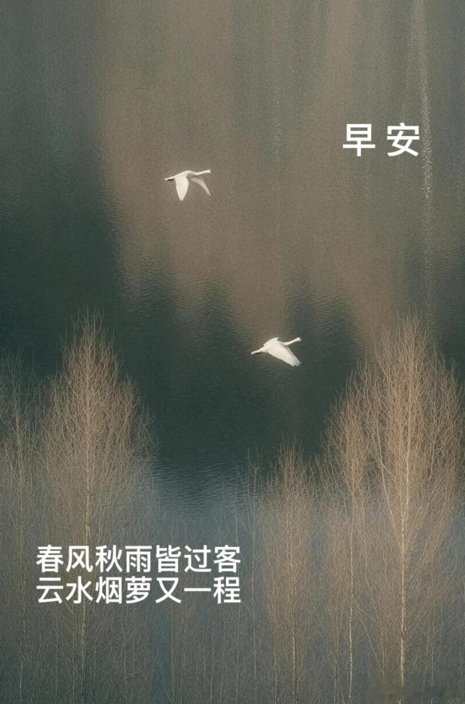 周五的清晨小雨第一句问候，愿你今天顺心如意[微风][咖啡]  ​​​