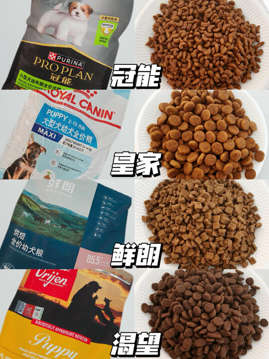 新手养狗经验分享！幼犬狗粮别乱买！
