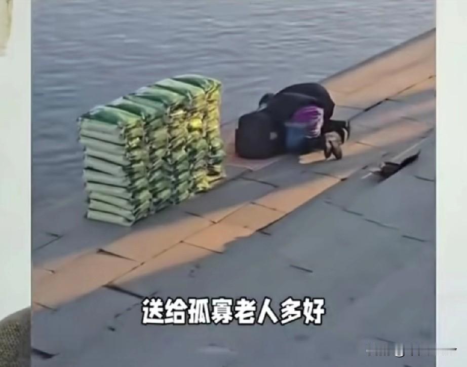 活了大半辈子，见过放生鱼虾的，见过放生乌龟的，可谁见过往江里倒大米的？辽宁丹东鸭