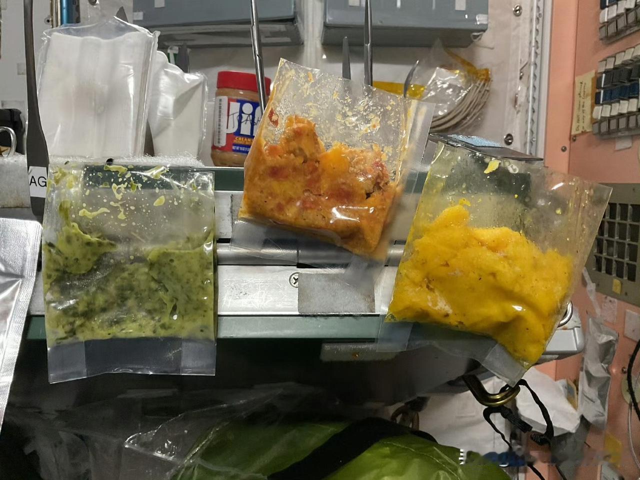 给大家看看国际空间站吃什么。

图1是芒果莎莎酱烤鱼、奶油菠菜、胡桃南瓜。

图