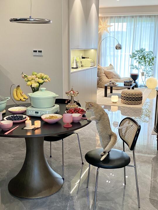 29岁和猫猫🐈一起，住进100平梦中情家🏠～🤩