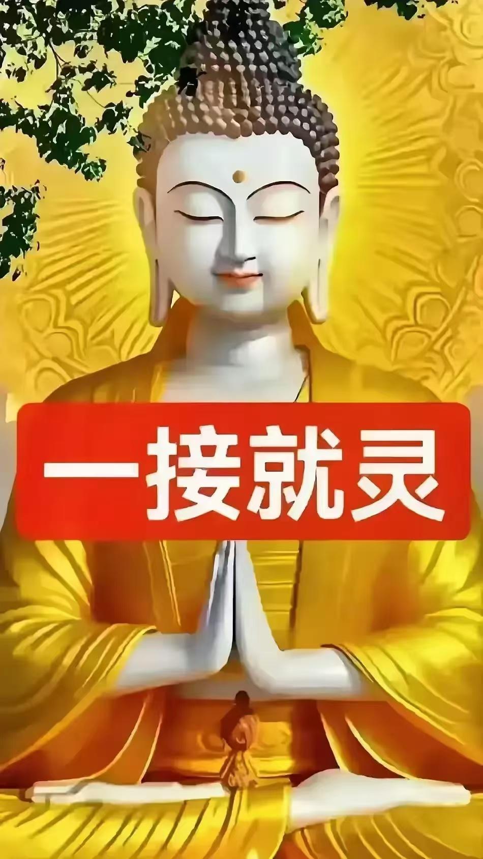 生肖兔有五个"岁数劫"，只需熬过去，大部分暮年都能福禄双全

俗话说"兔子三窟"